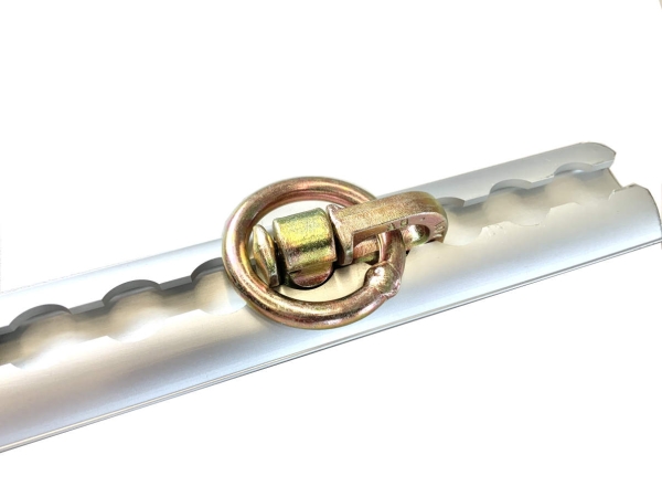 Zurrschienen Ösen zweifach